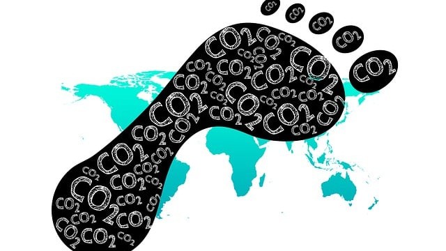 Ökologischer Fuß- und Handabdruck